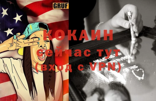 прущий лед Алзамай