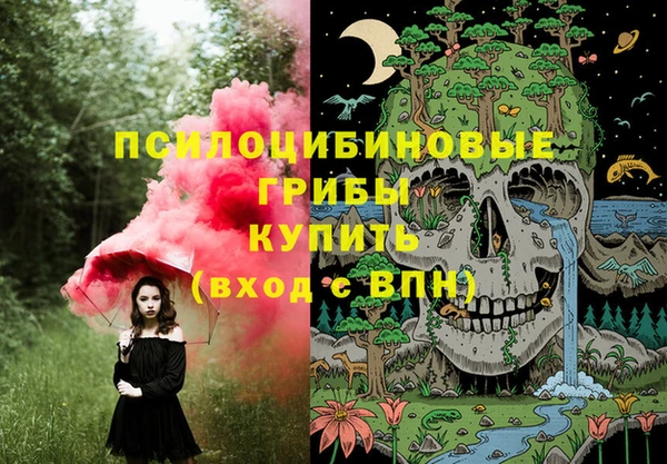 прущий лед Алзамай