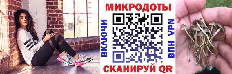 Галлюциногенные грибы GOLDEN TEACHER  Черноголовка 